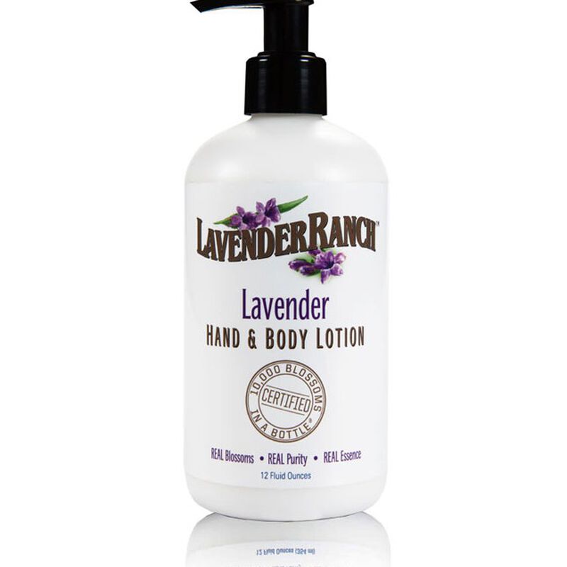 Lavender Hand & Body Lotion 12 oz., , large image number 0